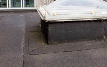 disadvantages of Little Durnford flat roofs