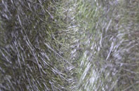 Little Durnford fibreglass roof work